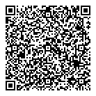 Solutions Biz QR Card