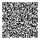 Copidata Inc QR Card