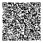 Groupe Ray Kisber QR Card