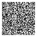 D L Turner Conseillers Inc QR Card