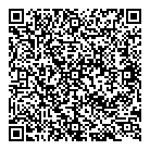 N P Motors QR Card