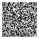 Cosmodyssee Inc QR Card