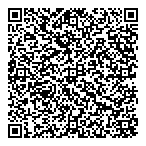 Lexis Media Group Inc QR Card