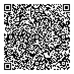 Aviation Strategies Intl QR Card