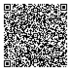 Lesirg Consultants Inc QR Card