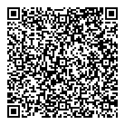 Insta-Cheques QR Card