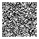 Dazzle QR Card