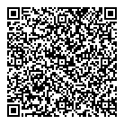 Bludok Systems Ltd QR Card