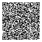 Mephistronique Limitee QR Card