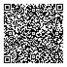 3 Vis QR Card