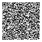 Televisions Demontigny QR Card