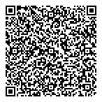 Professional Satellite Dish QR Card