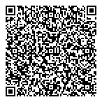 Insituform Technologies Ltd QR Card