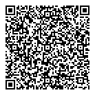 Dms Consulting QR Card