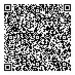 Solutions Dms-Lvm Inc QR Card