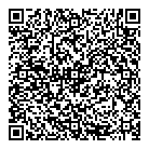 Dsolution QR Card