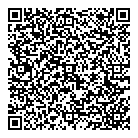 Dumont Solutions Inc QR Card