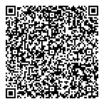 Programmeur Analyste Access Vb QR Card