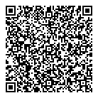 V S Consultant QR Card