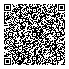 Mnp LLP QR Card