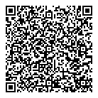 Visaction QR Card