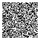 Roland Berger QR Card