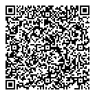 Biznisconsult QR Card