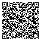 Mnp LLP QR Card