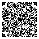 Systamex Inc QR Card