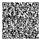 B T Geoconsult QR Card