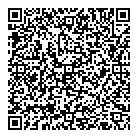 Overseas Motors Bmw QR Card