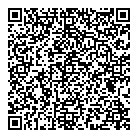 V Web Media QR Card