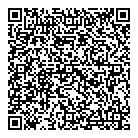 T D Auto Sales QR Card