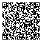 Dsmc 3d Creations QR Card