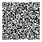 Ndt Group QR Card