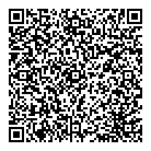 Dillon Consulting Ltd QR Card