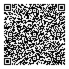 Dg Automotive  Sales QR Card