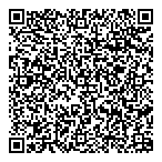 Aeroplane Sales  Consulting QR Card