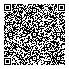 Phm Search Group Inc QR Card