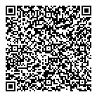 P  M Services Inc QR Card