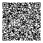 Blue Northern Lighting QR Card