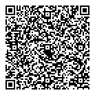 A1 Electric QR Card