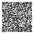 D S Auto Testing QR Card