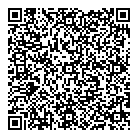 Toysense Plus Ltd QR Card