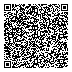 Dillon Consulting Ltd QR Card