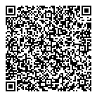 Bull Auto Sales QR Card