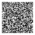 I T Strategic QR Card