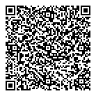 Lanxess Inc QR Card