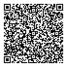 Dr H C Jain QR Card