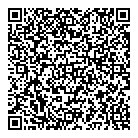 Image Automotive Sales QR Card